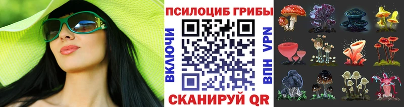 сколько стоит  Белово  Псилоцибиновые грибы ЛСД 