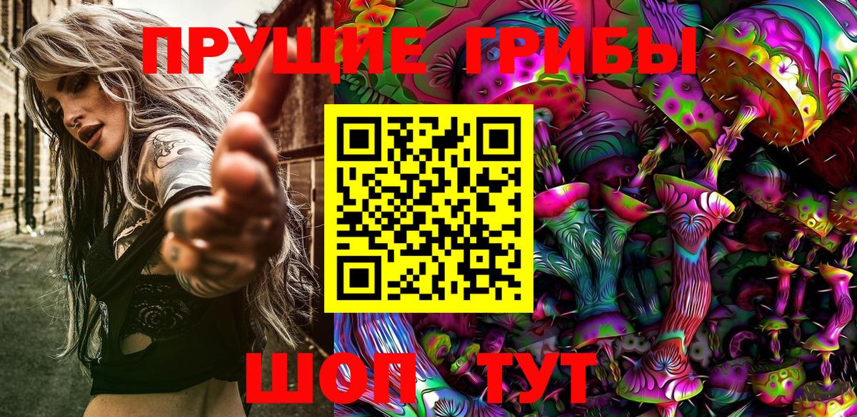 Псилоцибиновые грибы Cubensis  Вход с VPN  Белово  Псилоцибиновые грибы Psilocybine cubensis 